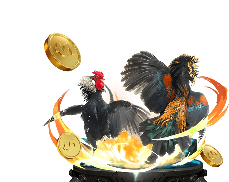 Ưu đãi nạp tiền và hoàn trả hàng ngày tại Sunwin Win